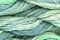Caron Waterlillies 226 Seaglass