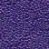 42101 Purple