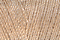 Soie 100/3 - 160