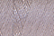 Soie 100/3 - 346