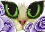Carrie Hawks: Lavender Roses - QS