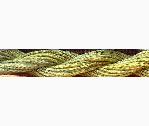 Verveine