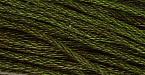 Sampler Threads: Forest Glade