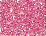 Rocailles - Trasp. foro argento 2,6mm. - Rosa