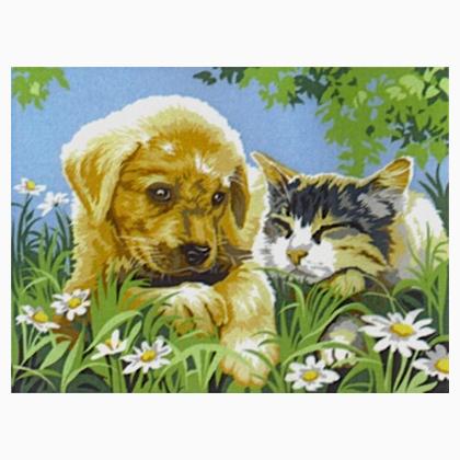 Calin d été