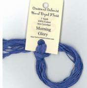 Morning Glory