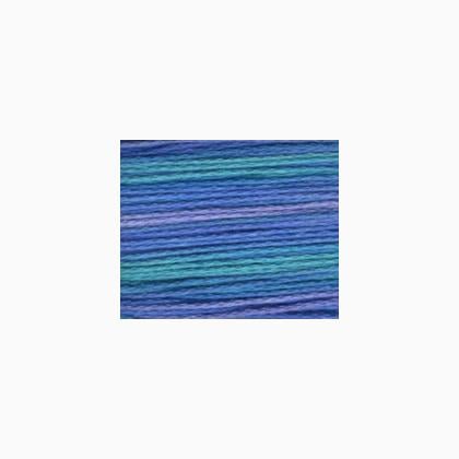 Bravo! A115 - Delphinium
