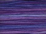 Bravo! A29 - Violets