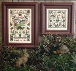 Tortoise & The Hare