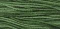 WDW 2168 Monkey Grass
