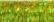 015L - Laser Lime (#12)