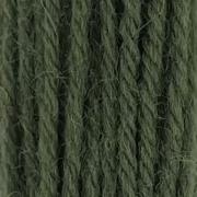 Tapestry Wool - Jacobean Green 294