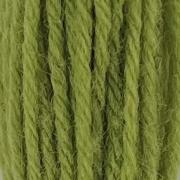 Tapestry Wool - Early English Green 543