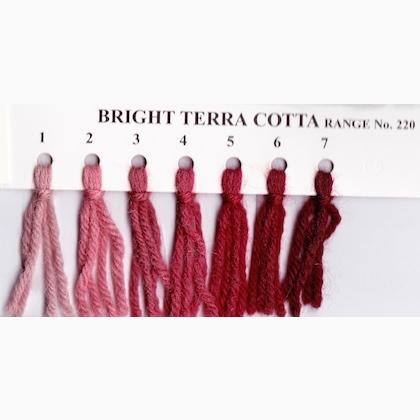 Tapestry Wool Hank - Bright Terra Cotta 223