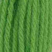 Tapestry Wool Hank - Leaf Green 423