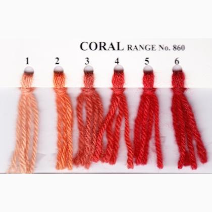 Tapestry Wool Hank - Coral 864