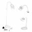 3 in 1 Magnifying Lamp