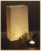 Lanterne Alce (10)
