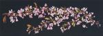 Japanese Blossom - Nero