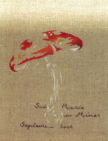 Champignon à Sainte-Marie aux Mines