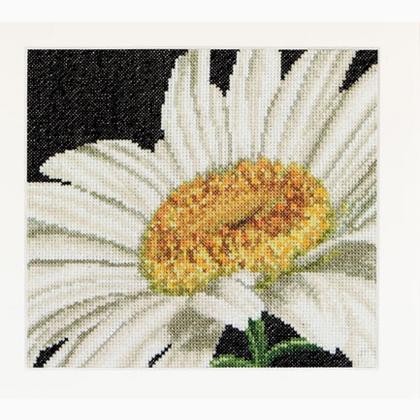 Spring Collection: Margherita