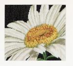 Spring Collection: Margherita