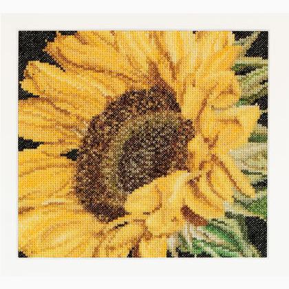 Spring Collection: Girasole