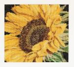 Spring Collection: Girasole