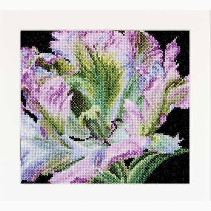 Autumn Collection: Tulipano