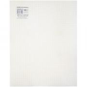 Plastic Canvas 10ct. 10.5x13.5 - Bianca