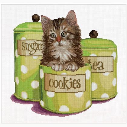 Cookie time