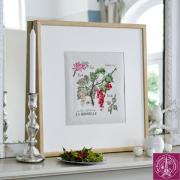 Etude Aux Groseilles - Lino