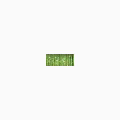 5535 Oregano (#16)