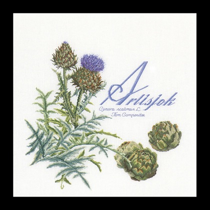 Artichoke - bianco