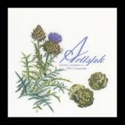 Artichoke - bianco