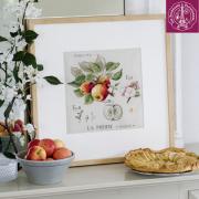 Etude Aux Pommes - Lino