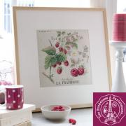 Etude Aux Framboises - Lino
