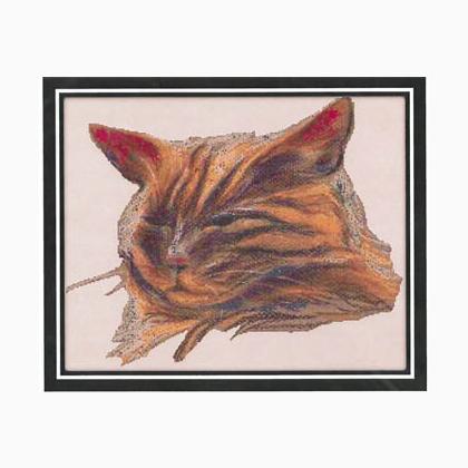 Tabby Cat Portrait (Anderson)