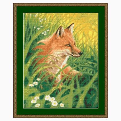 Summer Fox