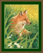 Summer Fox