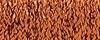 152V Vintage Sienna (#24)