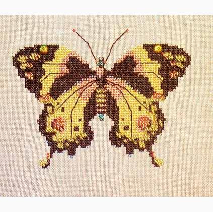 Gold Butterfly