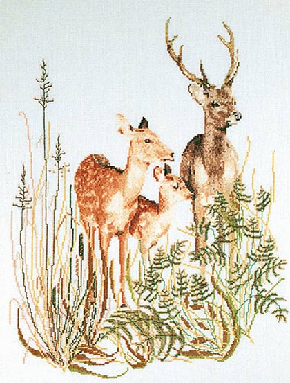 Deer Family