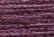 Gold Rush 14 - WG73C Dark Mauve