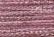 Gold Rush 14 - J41C Rose