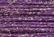 Gold Rush 14 - J43C Violet