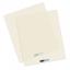 Sizzix Big Shot Pro Machine (White & Gray)