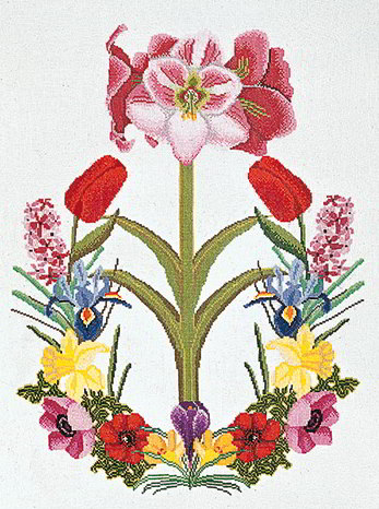 Amaryllis