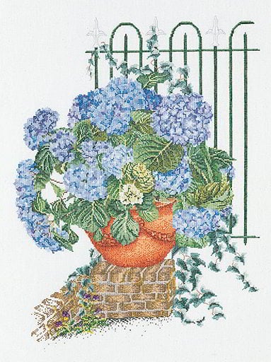 Ortensia Blu
