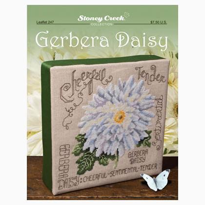 Gerbera Daisy